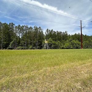 Photo #24 of SOLD property in Off Moores Ferry Rd, Emporia, VA 145.0 acres
