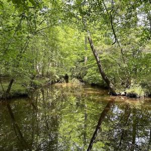 Photo #32 of SOLD property in Off Moores Ferry Rd, Emporia, VA 145.0 acres