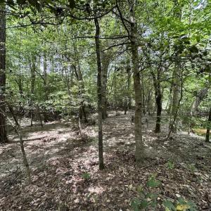 Photo #35 of SOLD property in Off Moores Ferry Rd, Emporia, VA 145.0 acres