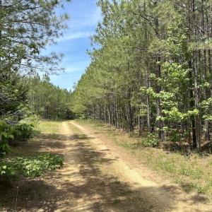 Photo #36 of SOLD property in Off Moores Ferry Rd, Emporia, VA 145.0 acres