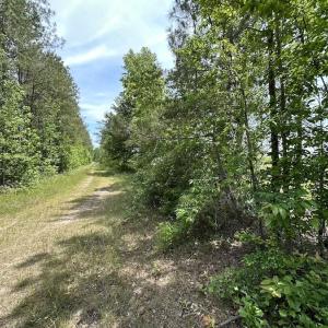 Photo #38 of SOLD property in Off Moores Ferry Rd, Emporia, VA 145.0 acres