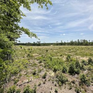 Photo #40 of SOLD property in Off Moores Ferry Rd, Emporia, VA 145.0 acres