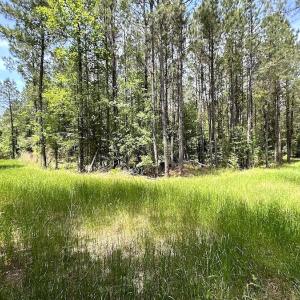 Photo #42 of SOLD property in Off Moores Ferry Rd, Emporia, VA 145.0 acres