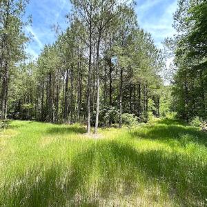 Photo #43 of SOLD property in Off Moores Ferry Rd, Emporia, VA 145.0 acres