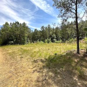 Photo #49 of SOLD property in Off Moores Ferry Rd, Emporia, VA 145.0 acres