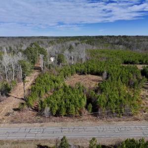 Photo #2 of SOLD property in Off Pine Grove Church Road , Eagle Springs, NC 11.2 acres