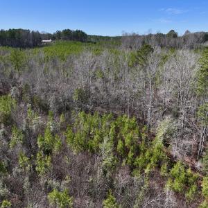 Photo #11 of SOLD property in Off Pine Grove Church Road , Eagle Springs, NC 11.2 acres