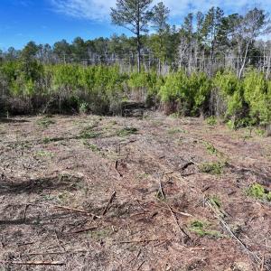 Photo #15 of SOLD property in Off Pine Grove Church Road , Eagle Springs, NC 11.2 acres