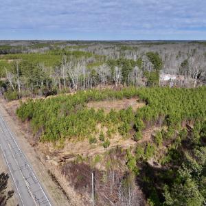 Photo #18 of SOLD property in Off Pine Grove Church Road , Eagle Springs, NC 11.2 acres