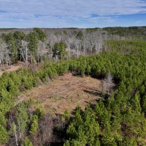 Photo #3 of SOLD property in Off Pine Grove Church Road , Eagle Springs, NC 11.2 acres