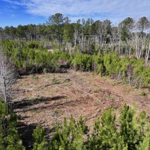 Photo #4 of SOLD property in Off Pine Grove Church Road , Eagle Springs, NC 11.2 acres