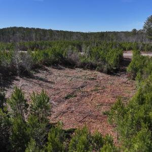 Photo #5 of SOLD property in Off Pine Grove Church Road , Eagle Springs, NC 11.2 acres