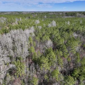 Photo #8 of SOLD property in Off Pine Grove Church Road , Eagle Springs, NC 11.2 acres