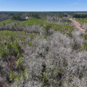 Photo #9 of SOLD property in Off Pine Grove Church Road , Eagle Springs, NC 11.2 acres