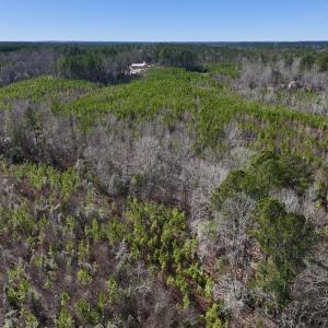 Photo #10 of SOLD property in Off Pine Grove Church Road , Eagle Springs, NC 11.2 acres