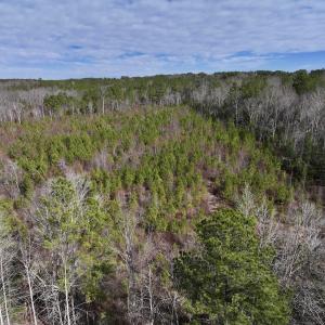 Photo #22 of SOLD property in Off Pine Grove Church Road , Eagle Springs, NC 11.2 acres