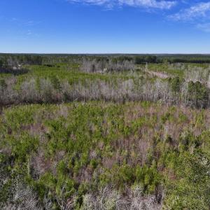 Photo #23 of SOLD property in Off Pine Grove Church Road , Eagle Springs, NC 11.2 acres