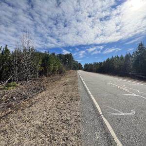Photo #25 of SOLD property in Off Pine Grove Church Road , Eagle Springs, NC 11.2 acres