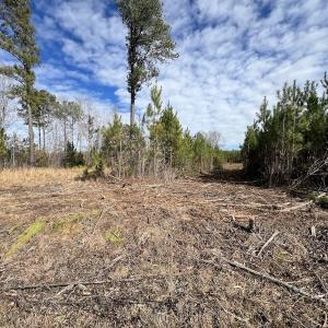 Photo #26 of SOLD property in Off Pine Grove Church Road , Eagle Springs, NC 11.2 acres
