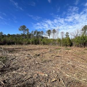 Photo #29 of SOLD property in Off Pine Grove Church Road , Eagle Springs, NC 11.2 acres
