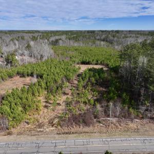 Photo #2 of SOLD property in Off Pine Grove Church Road, Eagle Springs, NC 10.8 acres