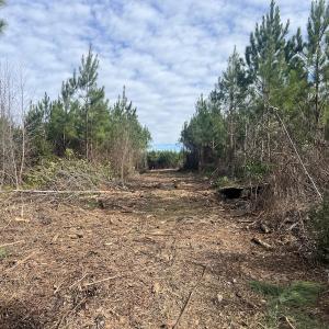 Photo #14 of SOLD property in Off Pine Grove Church Road, Eagle Springs, NC 10.8 acres