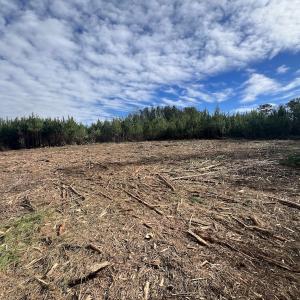 Photo #16 of SOLD property in Off Pine Grove Church Road, Eagle Springs, NC 10.8 acres
