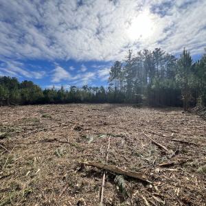 Photo #17 of SOLD property in Off Pine Grove Church Road, Eagle Springs, NC 10.8 acres