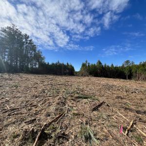 Photo #18 of SOLD property in Off Pine Grove Church Road, Eagle Springs, NC 10.8 acres