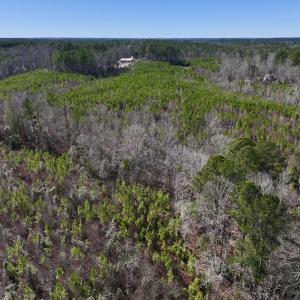 Photo #4 of SOLD property in Off Pine Grove Church Road, Eagle Springs, NC 10.8 acres
