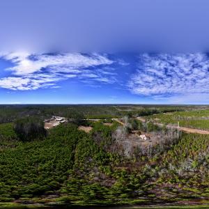 Photo #7 of SOLD property in Off Pine Grove Church Road, Eagle Springs, NC 10.8 acres