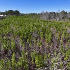 Photo #9 of SOLD property in Off Pine Grove Church Road, Eagle Springs, NC 10.8 acres