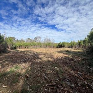 Photo #20 of SOLD property in Off Pine Grove Church Road, Eagle Springs, NC 10.8 acres