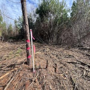 Photo #21 of SOLD property in Off Pine Grove Church Road, Eagle Springs, NC 10.8 acres