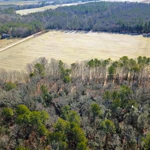 Photo #5 of SOLD property in Off Tuckers Road, Shacklefords, VA 25.5 acres
