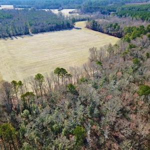 Photo #6 of SOLD property in Off Tuckers Road, Shacklefords, VA 25.5 acres