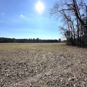 Photo #8 of SOLD property in Off Tuckers Road, Shacklefords, VA 25.5 acres