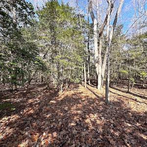 Photo #9 of SOLD property in Off Tuckers Road, Shacklefords, VA 25.5 acres