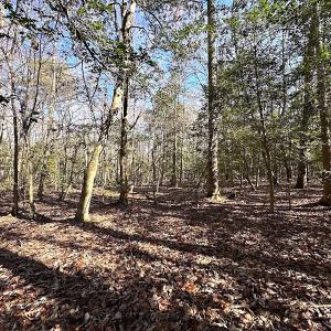 Photo #12 of SOLD property in Off Tuckers Road, Shacklefords, VA 25.5 acres