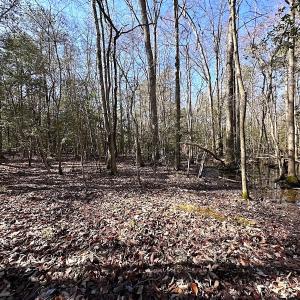 Photo #13 of SOLD property in Off Tuckers Road, Shacklefords, VA 25.5 acres