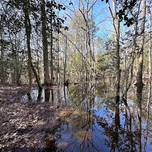 Photo #22 of SOLD property in Off Tuckers Road, Shacklefords, VA 25.5 acres