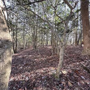 Photo #26 of SOLD property in Off Tuckers Road, Shacklefords, VA 25.5 acres
