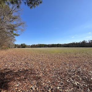 Photo #28 of SOLD property in Off Tuckers Road, Shacklefords, VA 25.5 acres