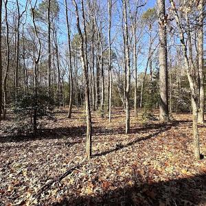 Photo #32 of SOLD property in Off Tuckers Road, Shacklefords, VA 25.5 acres