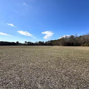 Photo #33 of SOLD property in Off Tuckers Road, Shacklefords, VA 25.5 acres