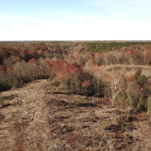 Photo #2 of SOLD property in Off The Trail, King and Queen, VA 148.0 acres