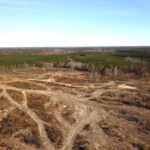 Photo #4 of SOLD property in Off The Trail, King and Queen, VA 148.0 acres