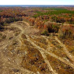 Photo #7 of SOLD property in Off The Trail, King and Queen, VA 148.0 acres