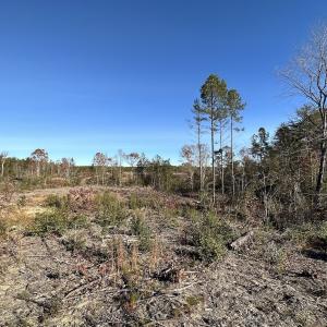 Photo #12 of SOLD property in Off The Trail, King and Queen, VA 148.0 acres