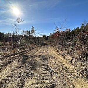 Photo #14 of SOLD property in Off The Trail, King and Queen, VA 148.0 acres